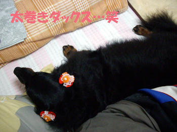 100529_2.jpg
