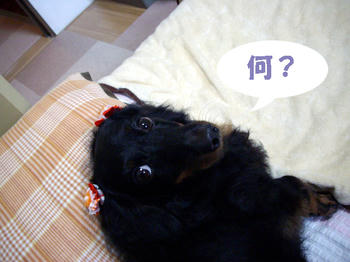 100529_3.jpg