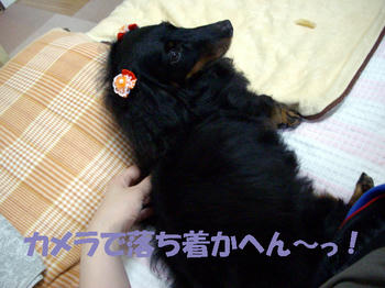 100529_4.jpg