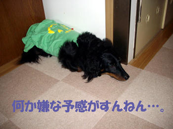 100610_1.jpg