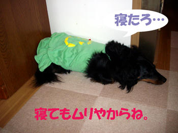 100610_2.jpg