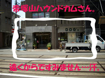 100610_3.jpg