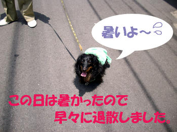 100610_4.jpg