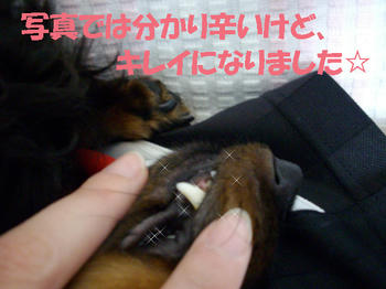 100610_5.jpg