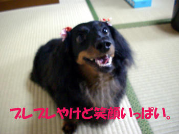 100617_3.jpg