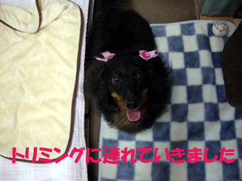 100629_1.jpg