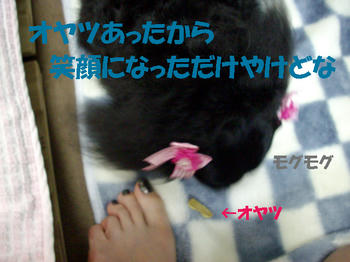 100629_5.jpg