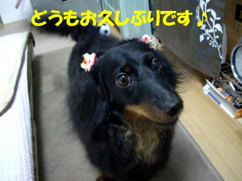 100804_1.jpg