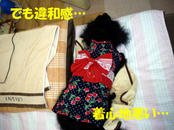 100804_3.jpg