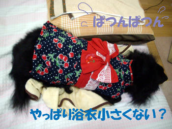 100804_4.jpg