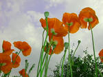 9937b364.JPG
