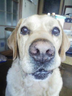 今年もよろしくねー！