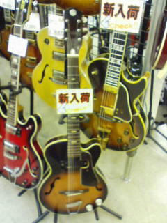 最近はこれ!Teiscoかっこいい!