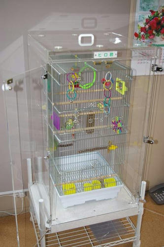 ハッピーケース　アクリル鳥かご鑑賞ケースご使用例