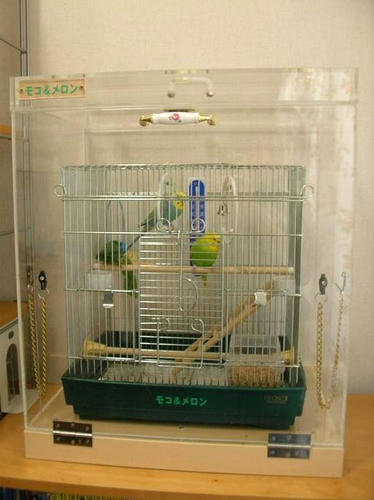 ハッピーケース　アクリル鳥かご鑑賞ケースご使用例