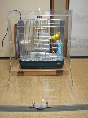 ハッピーケース　アクリル鳥かご鑑賞ケースご使用例
