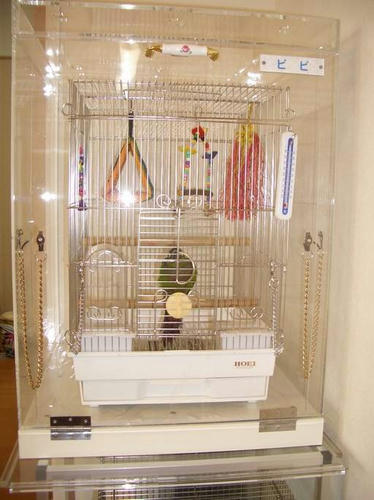 ハッピーケース　アクリル鳥かご鑑賞ケースご使用例