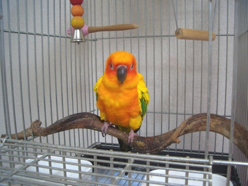 インコ、オウムなど鳥かごのカバー用アクリルケース保温・防音・脂粉対策