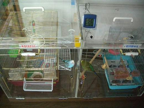 インコ、オウムなど鳥かごのカバー用アクリルケース　保温・防音・脂粉対策