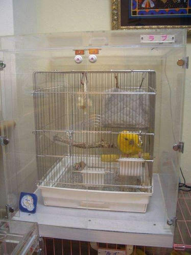 インコ、オウムなど鳥かごのカバー用アクリルケース　保温・防音・脂粉対策