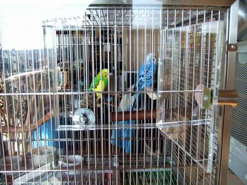 インコ、オウムなど鳥かごのカバー用アクリルケース　保温・防音・脂粉対策