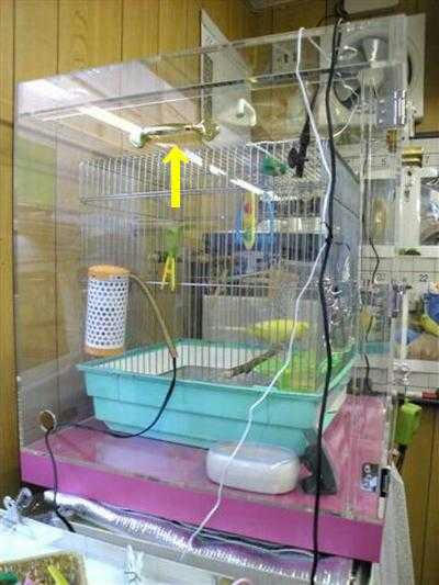 インコ、オウムなど鳥かごのカバー用アクリルケース　保温・防音・脂粉対策