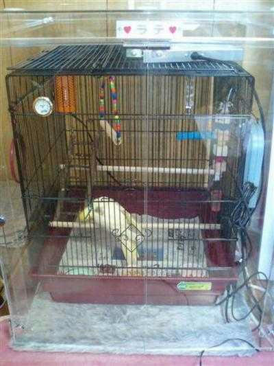 インコ、オウムなど鳥かごのカバー用アクリルケース　保温・防音・脂粉対策
