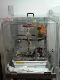 インコ、オウムなど鳥かごのカバー用アクリルケース　保温・防音・脂粉対策