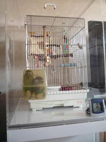 インコ、オウムなど鳥かごのカバー用アクリルケース 保温・防音・脂粉対策