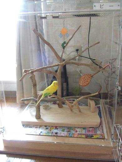 インコ、オウムなど鳥かごのカバー用アクリルケース 保温・防音・脂粉対策
