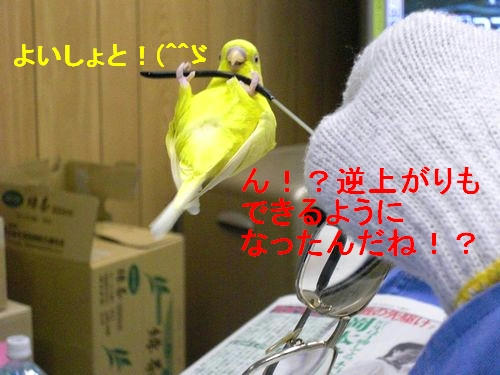 大阪のレモンちゃん