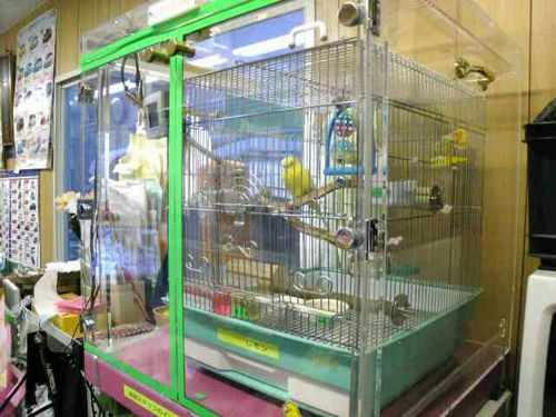 インコ、オウムなど鳥かごのカバー用アクリルケース 保温・防音・脂粉対策