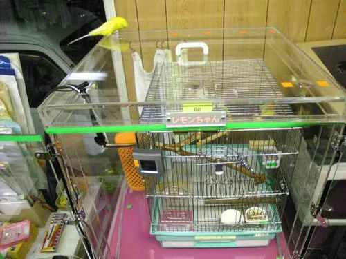 インコ、オウムなど鳥かごのカバー用アクリルケース 保温・防音・脂粉対策