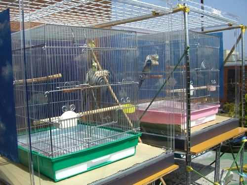 インコ、オウムなど鳥かごのカバー用アクリルケース　保温・防音・脂粉対策