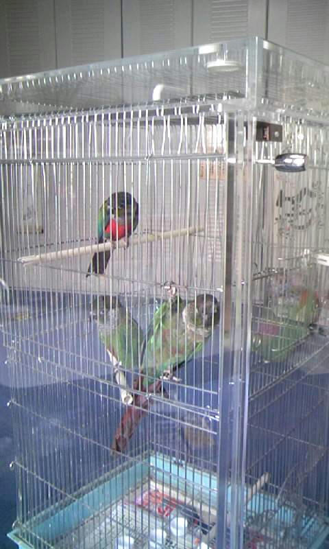 インコ、オウムなど鳥かごのカバー用アクリルケース　保温・防音・脂粉対策