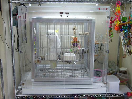 アオメキバタン らむちゃん インコ、オウムなど鳥かごのカバー用アクリルケース 保温・防音・脂粉対策