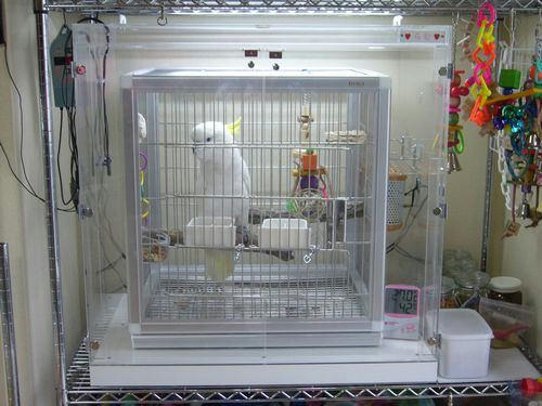 アオメキバタン らむちゃん インコ、オウムなど鳥かごのカバー用アクリルケース　保温・防音・脂粉対策