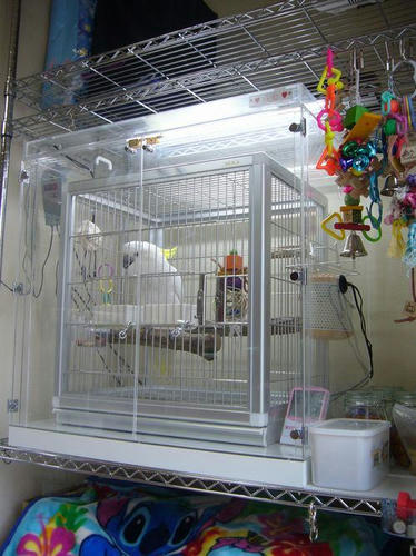 アオメキバタン らむちゃん インコ、オウムなど鳥かごのカバー用アクリルケース 保温・防音・脂粉対策