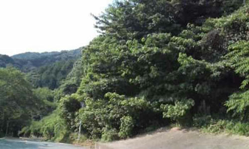 山へ