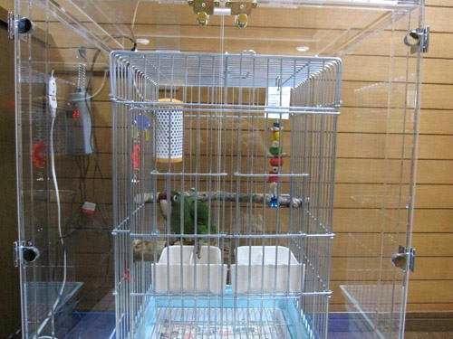 インコ、オウムなど鳥かごのカバー用アクリルケース 保温・防音・脂粉対策