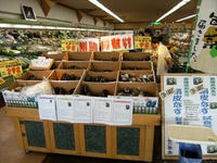 DSCF1135.jpg