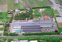 scan-2.jpg