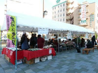 P1000665.JPG