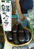 201010031013002.jpg