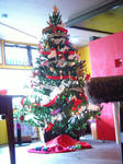 tree.jpg