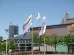 yoyogi.jpg