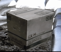 danbox.gif