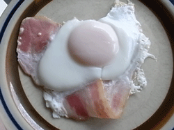 sunny-side-up.gif