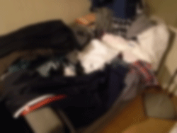 sofa02.gif