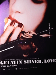 zelatinsilverlove.gif
